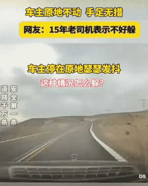不好躲啊？
左打方向凭命撞吧？这家伙连滚带爬横冲直撞的样子，实在是很难躲开，速度