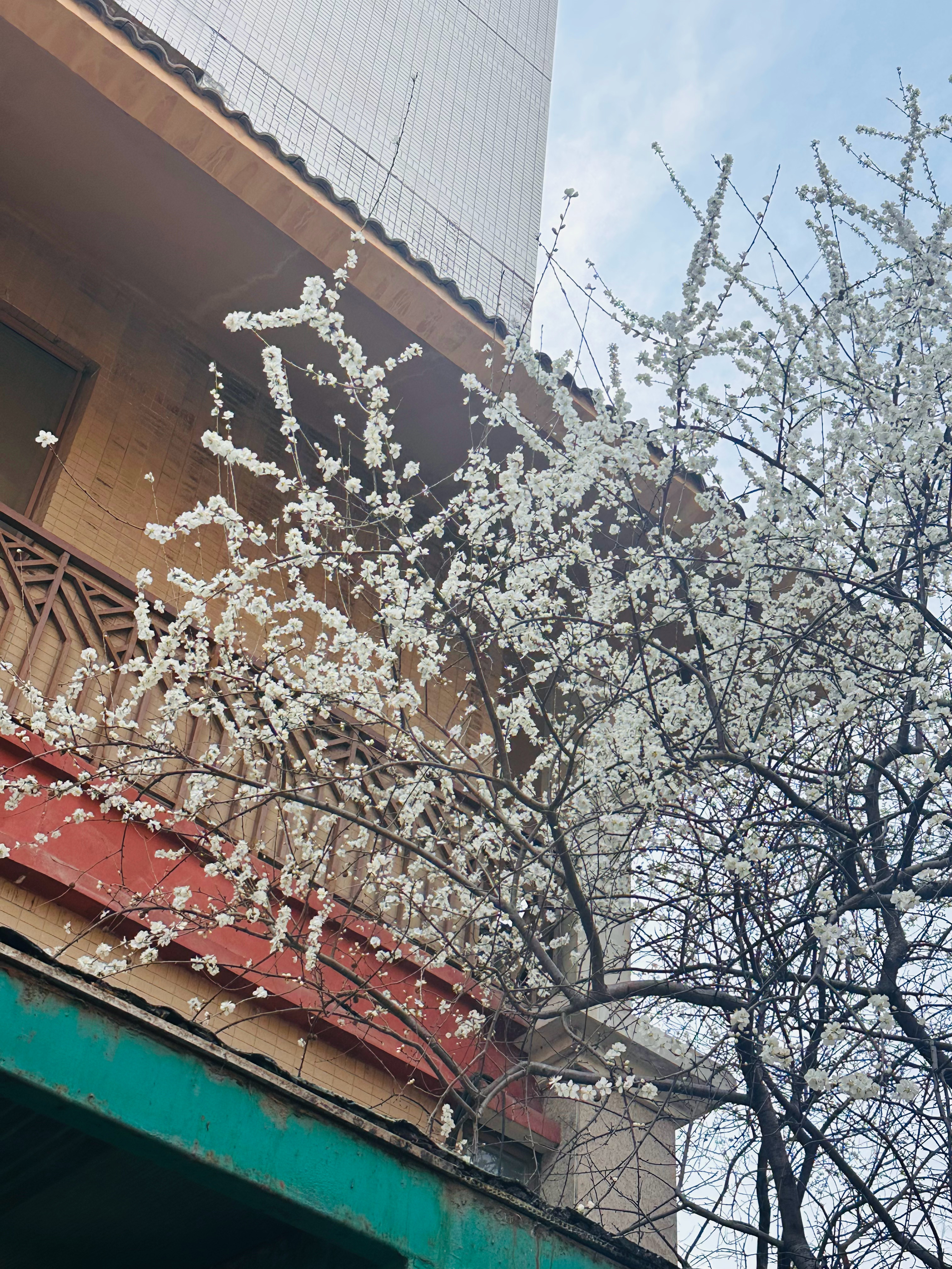 人们以为自己在追寻真理，事实上，大多数人追寻的是自己认可的理念。真理，无需人类的