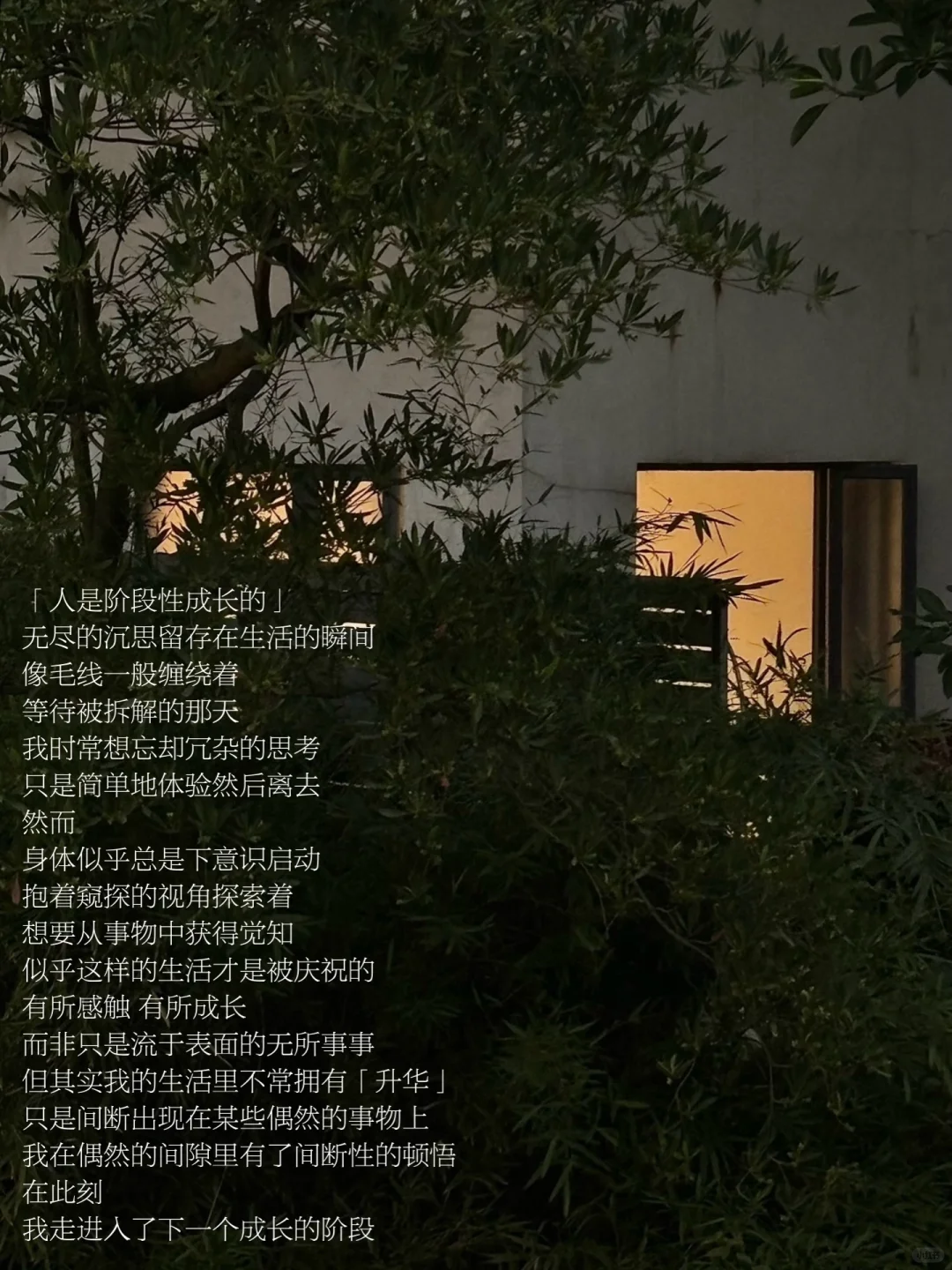 随笔｜人在阶段性成长中迈入下一个进程