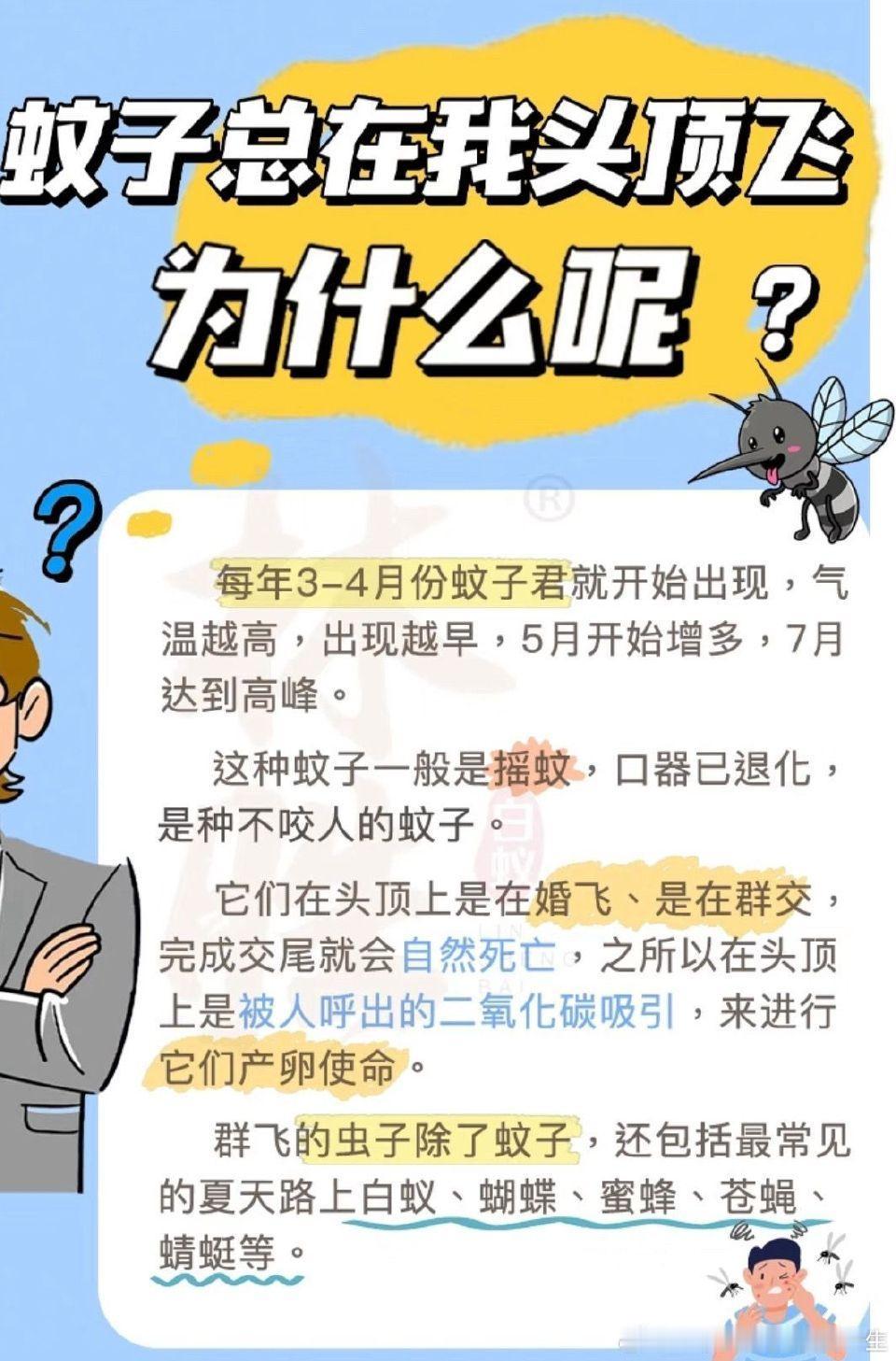 怪不得虫子总围着头顶飞，原来根本不是巧合
 
很多人都有过同款困扰：出门散步、傍