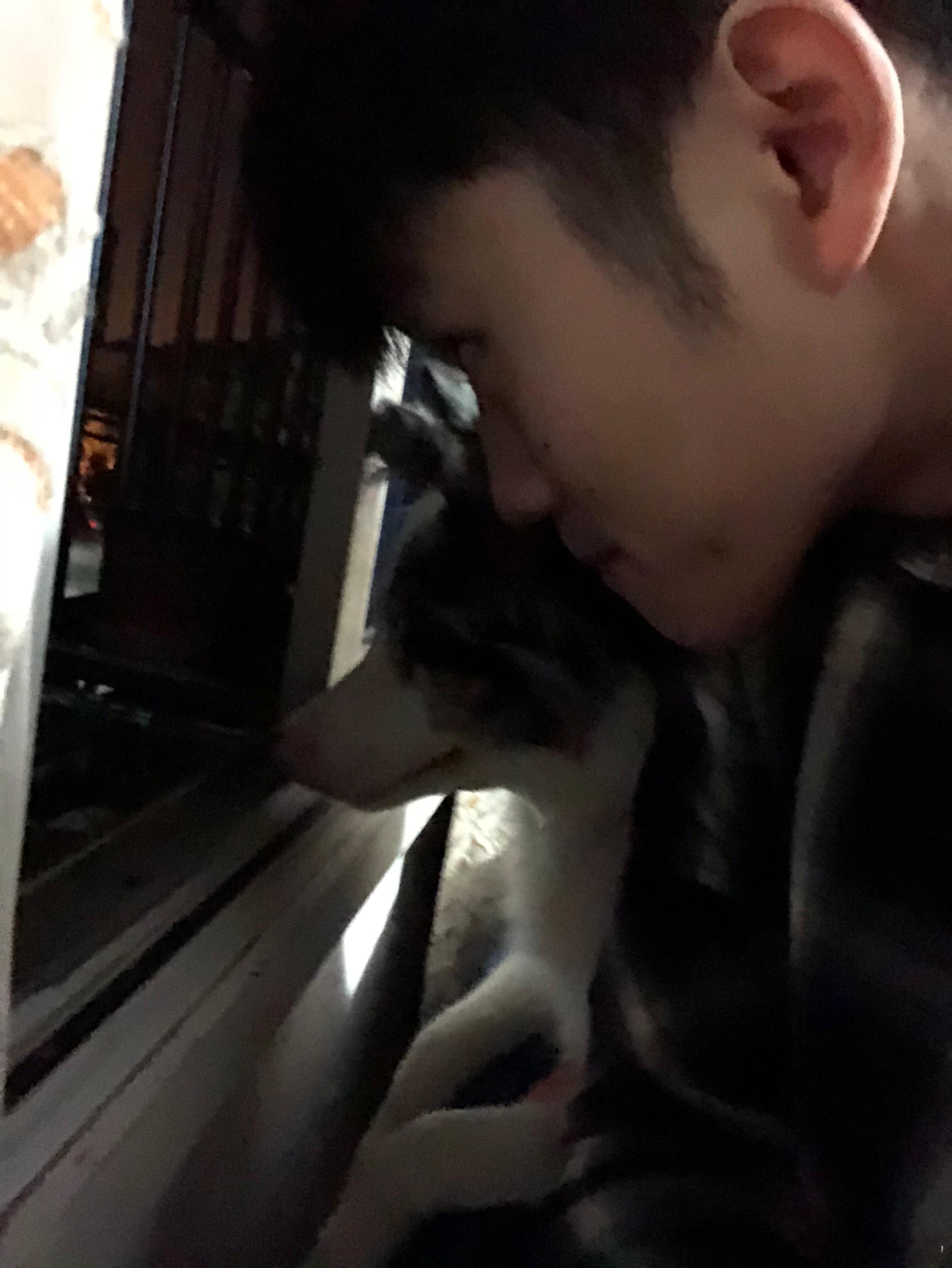 王勉父亲笔下的小狗Cookie 被这一家人的文字狠狠治愈了。无论是父亲的含蓄还是