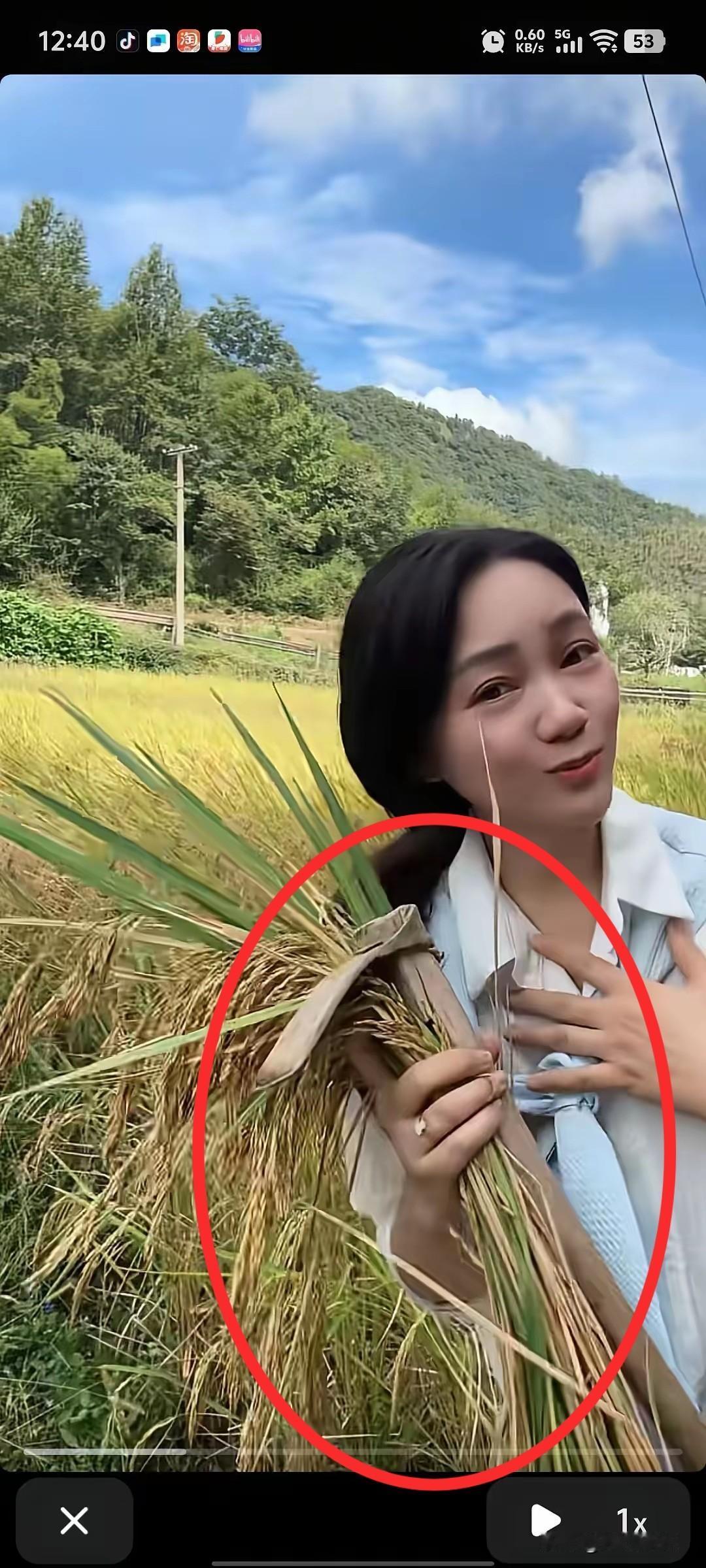 安徽｜一主持人挖稻谷！估摸农村生活没经历过，这算“艺高胆大”吧！创新思维，用锄头