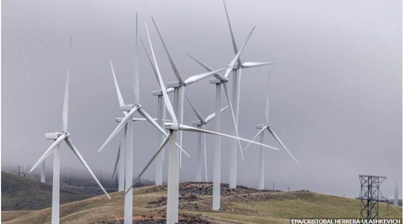 美政府拟支付巨资叫停沿海风电项目
据《纽约时报》周二报道，特朗普政府正考虑支付高