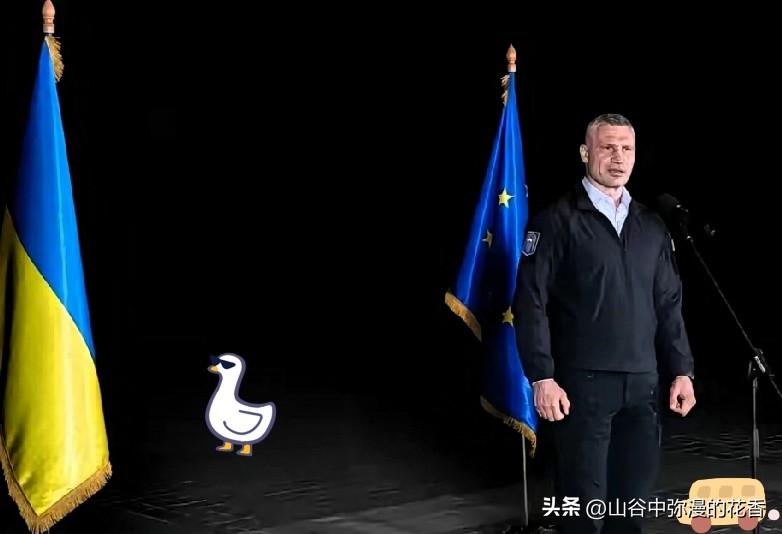 基辅突发大面积停电！乌能源企业证实，俄乌无人机对抗持续拉锯
 
6月25日基辅出