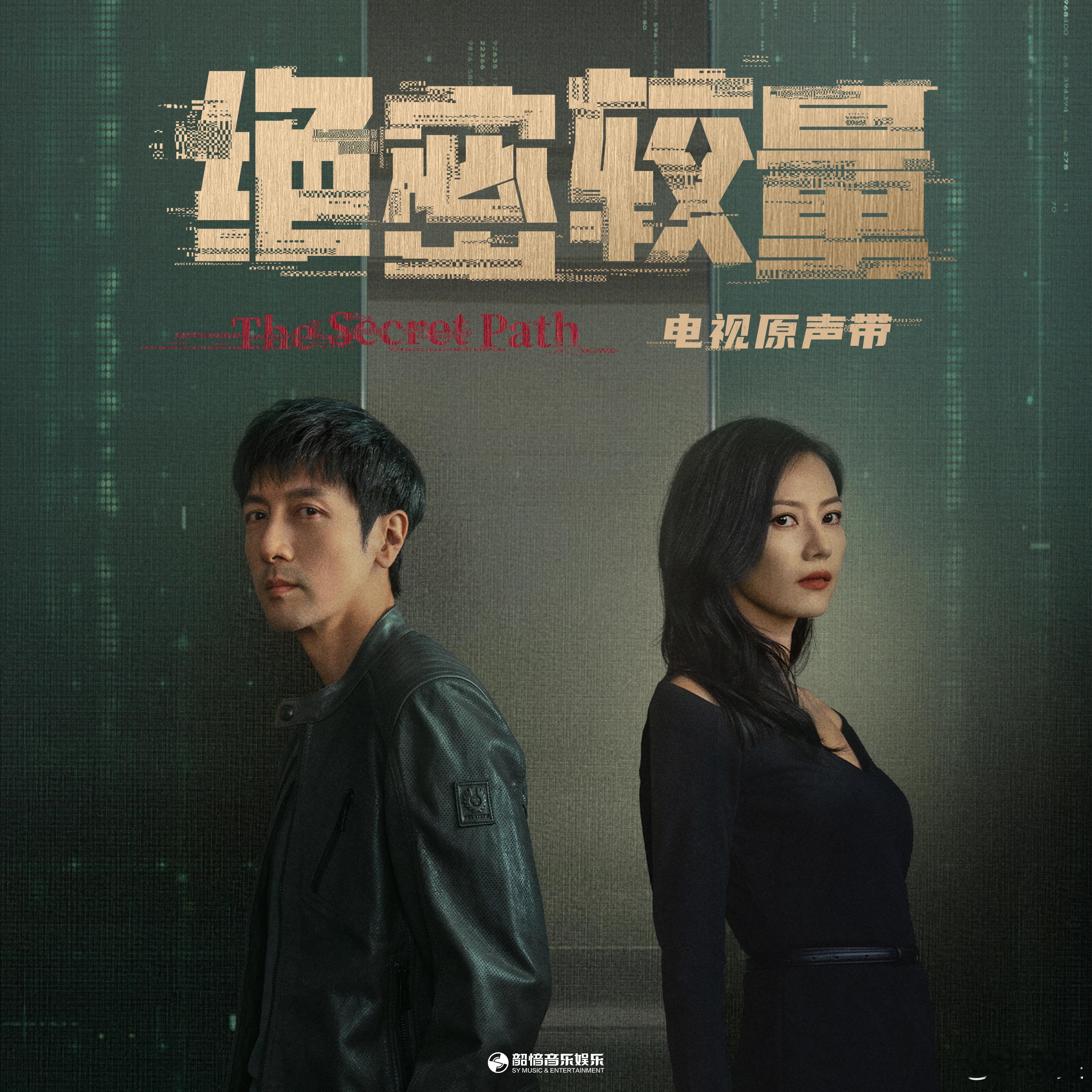 今晚快速拉着看完一部「绝密较量」，剧情没啥新意，但雷佳的片尾曲很好听，一看是彭飞