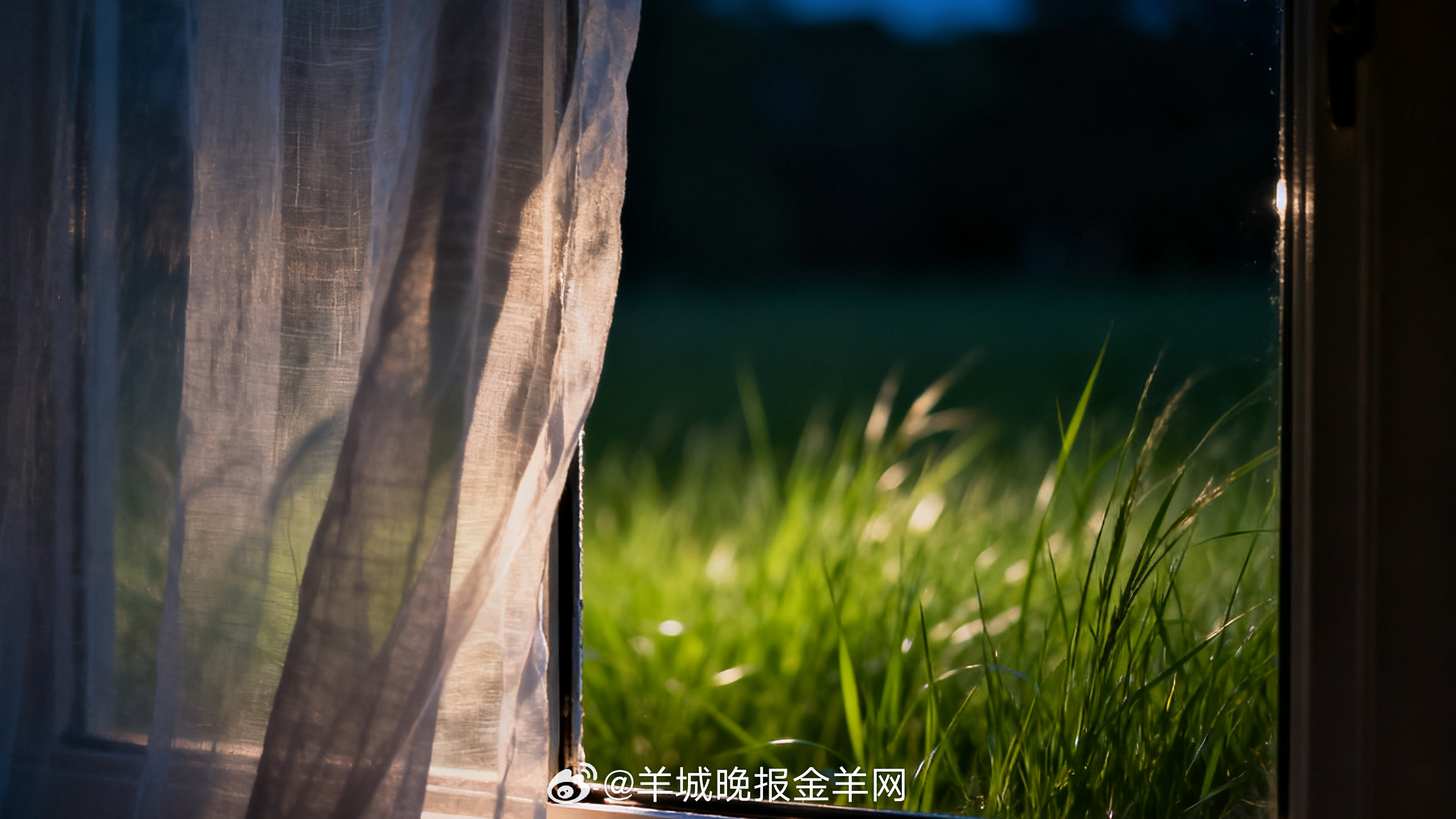 #晚安#窗缝里溜进来一丝凉风，带着青草和泥土的气息。像是大地在睡前最后的呼吸。闭