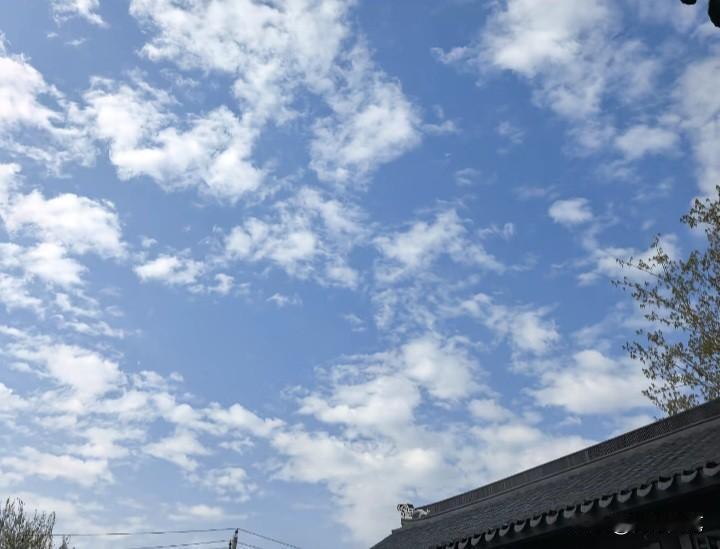 有人说，当今最大的矛盾不是别的，而是——

明明每个人都清楚，任何个人或组织，都