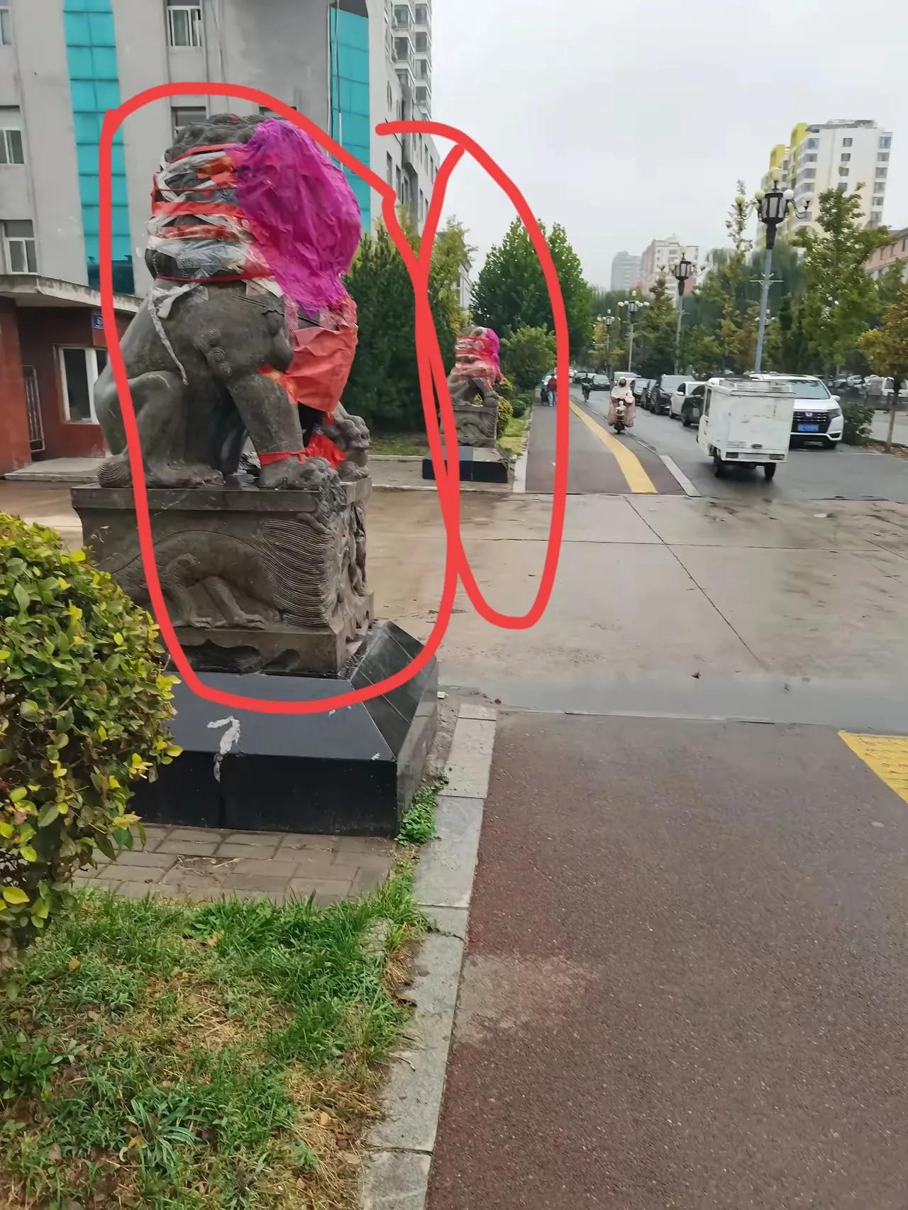 狮子为什么会蒙着面呢？
很奇怪，有什么说法吗？