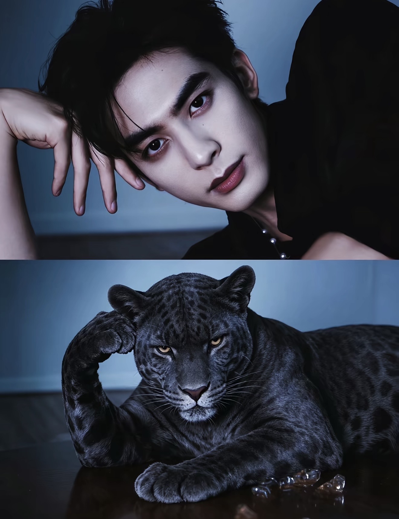 豹塑🐆 
