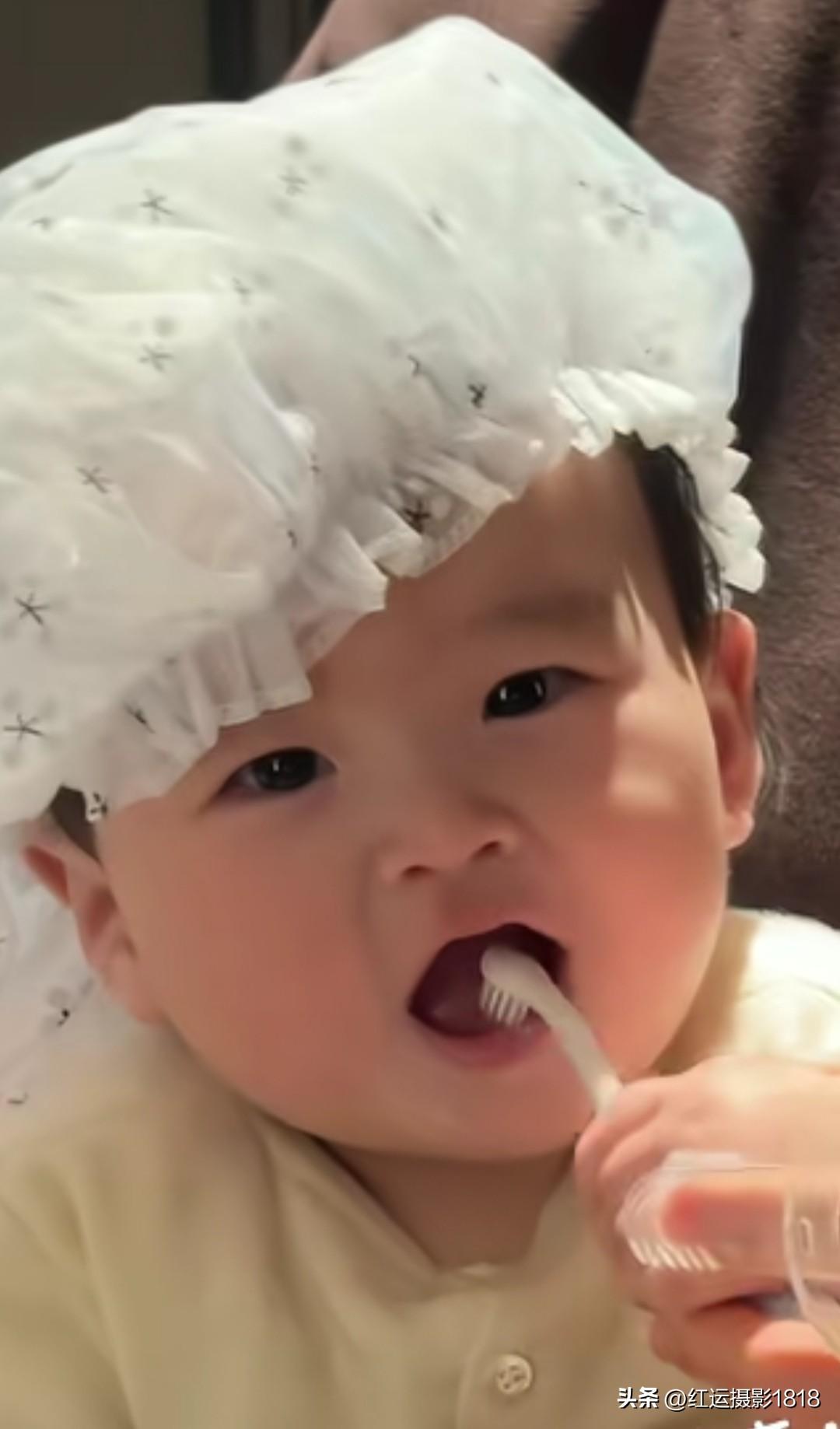 小汪宝早晨起来就开始刷牙了，小家伙还挺爱干净的，汪宝很聪明，他还低下头，自己在体