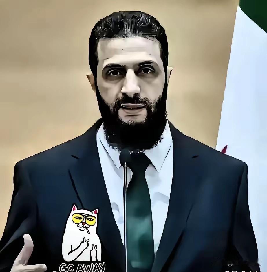 叙利亚传来新消息：

这件事看着让人觉得挺解气，但不能盲目高兴，里面的门道得看清