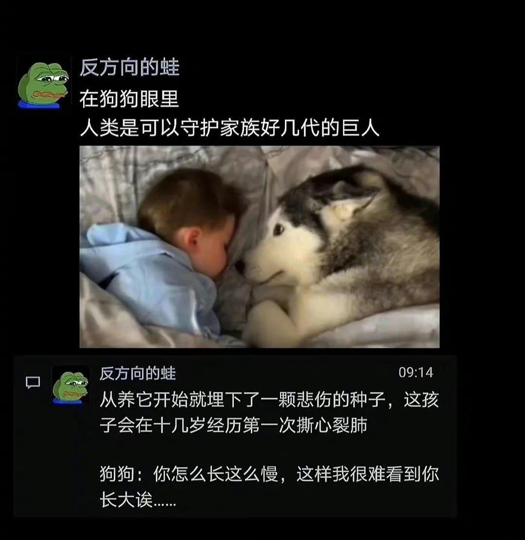小狗狗和他都是快乐的 ​ ​​​