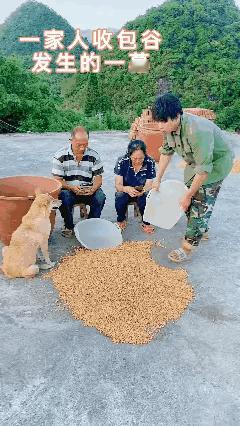 我觉得他在讽刺什么，
但是我没有证据。