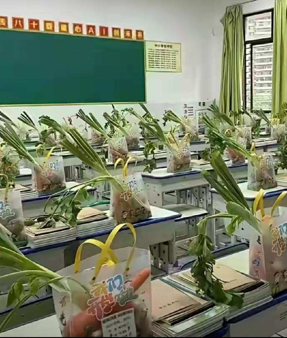 这伴手礼是哪个想出来的?
有赶大集的感觉[比心]
挺好，够一顿饭了，呵呵，准备喂