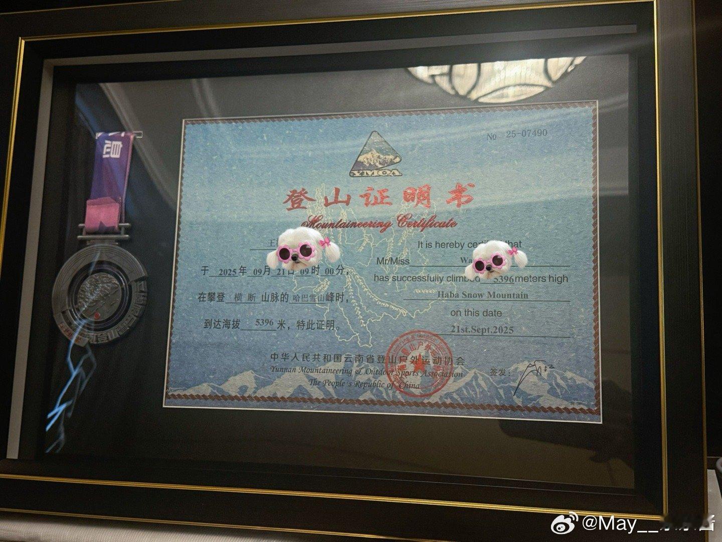 分享图片 ​​​