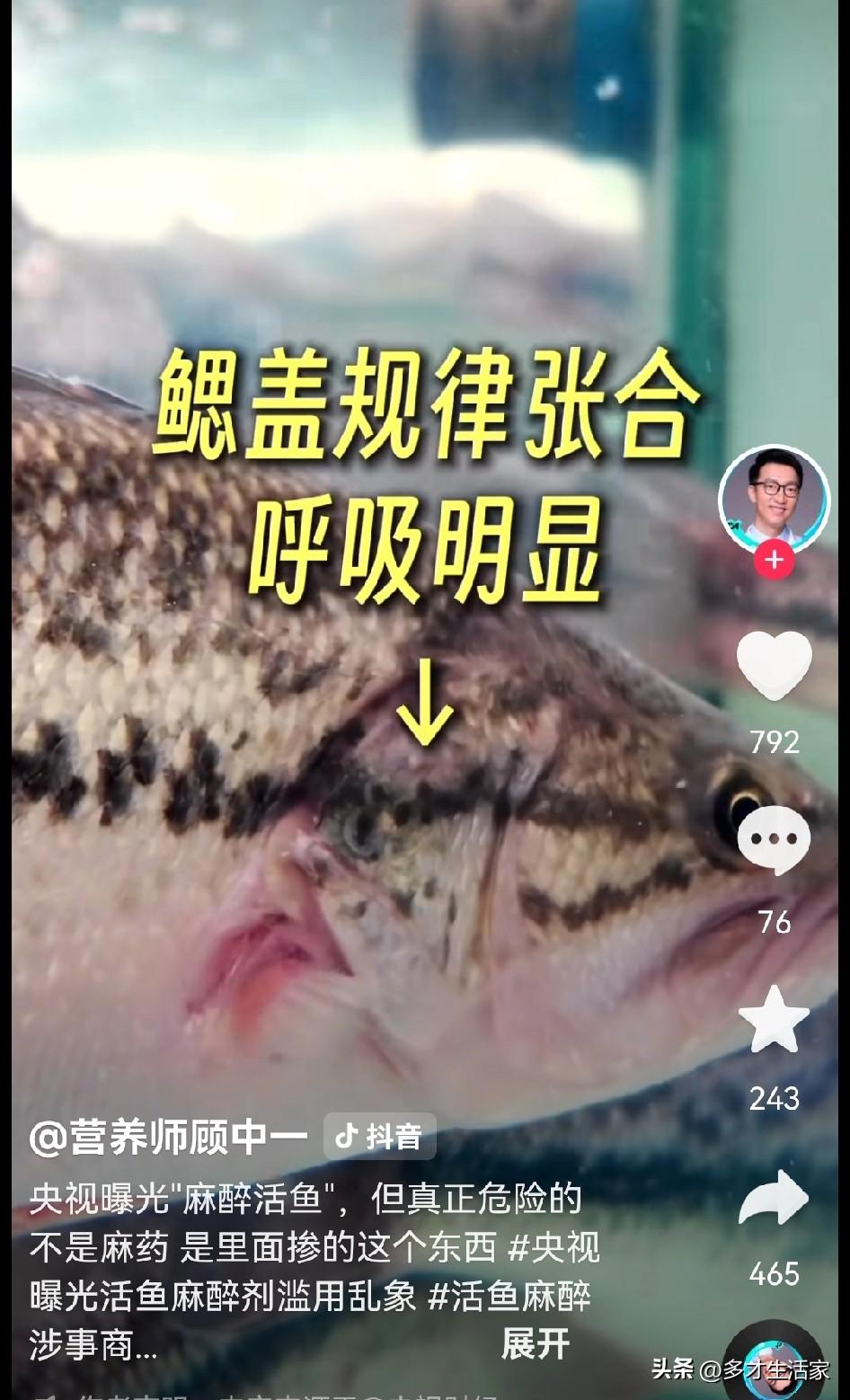 普通人挑鱼，看鱼的活力最直观：
 
健康鱼：鱼鳃规律扇动、游动敏捷、一碰就窜、捞