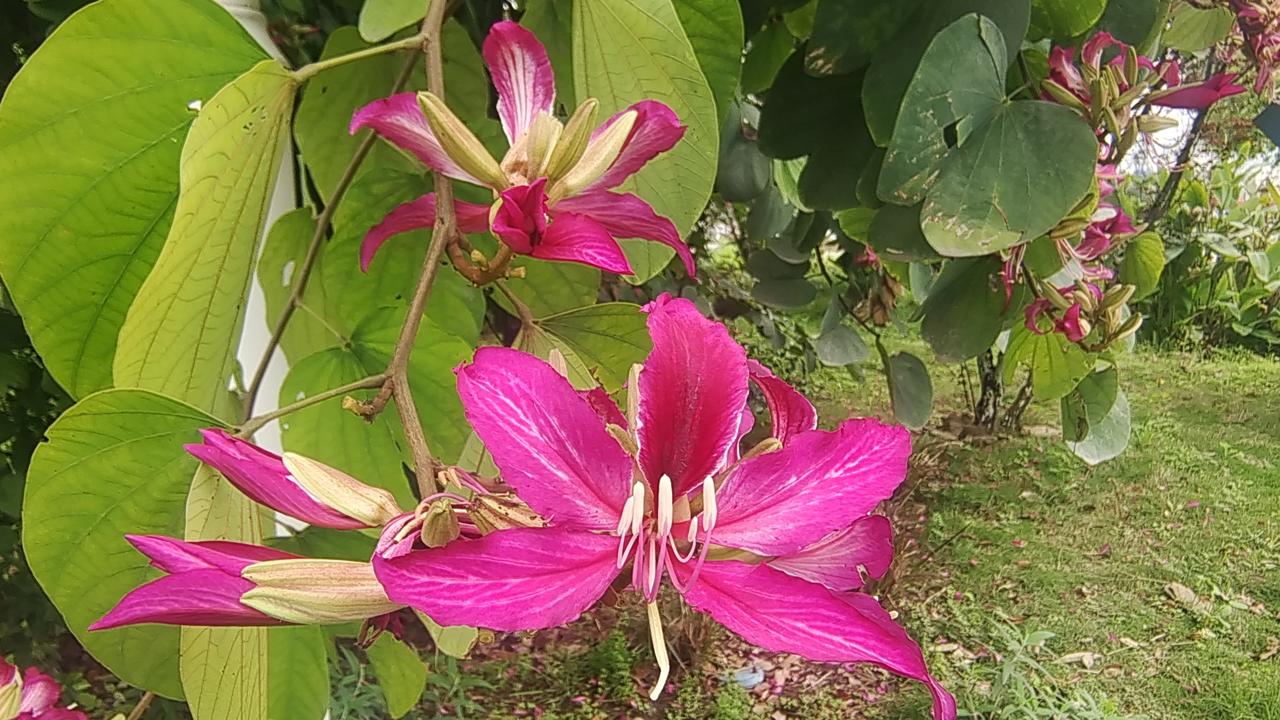 你觉得张雪机车创始人的故事励志吗当然励志。不光是励志，还具有以下启示：1、证明古