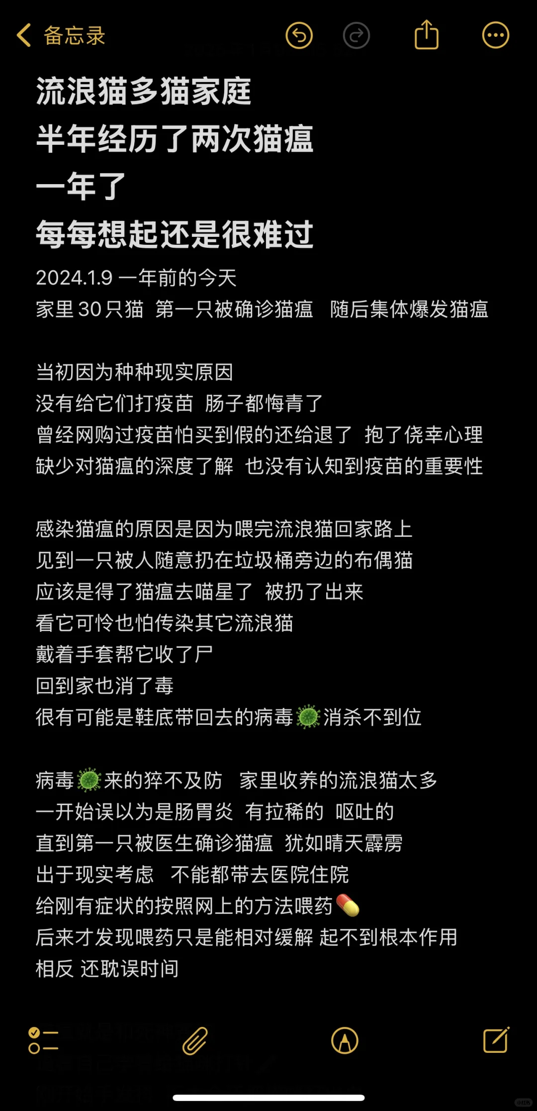 流浪猫多猫家庭  半年经历了两次猫瘟