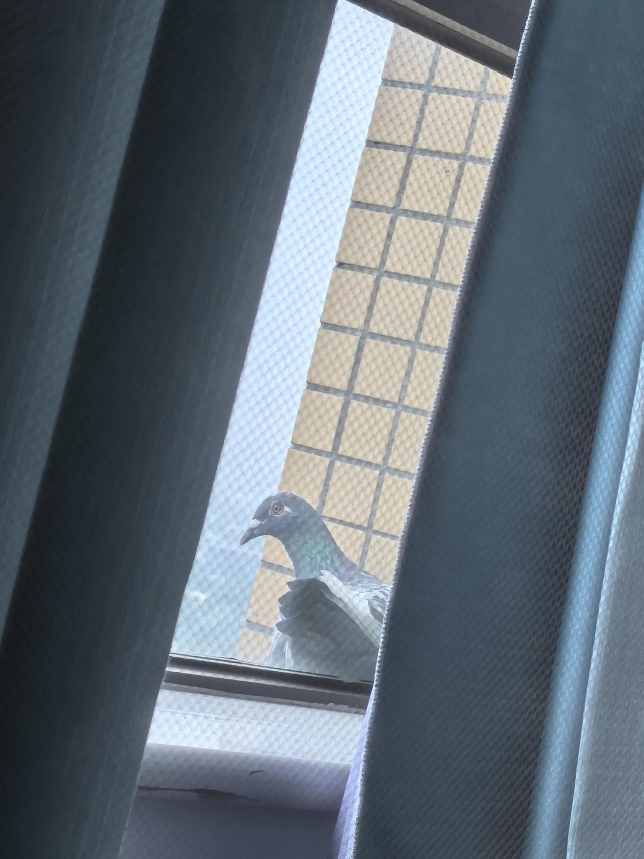 没有爱情的婚姻生活，不知道坚持到什么时候
以前挺喜欢的，彼此相爱吧，时间久了无法