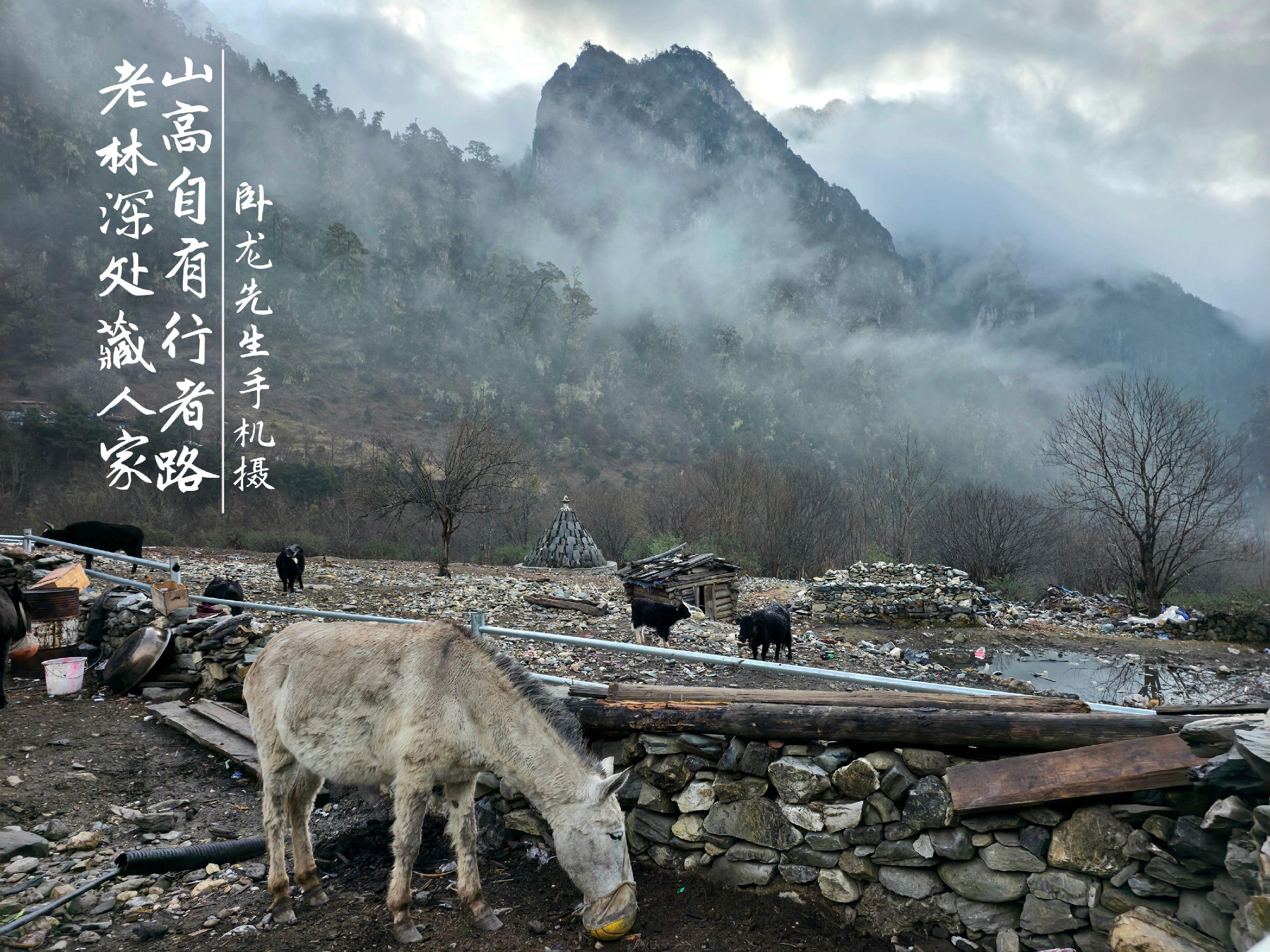 山高路远等不到思念