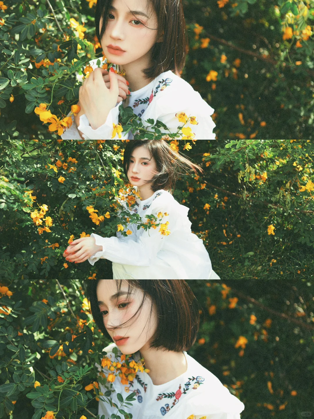 故事里的小黄花🌼