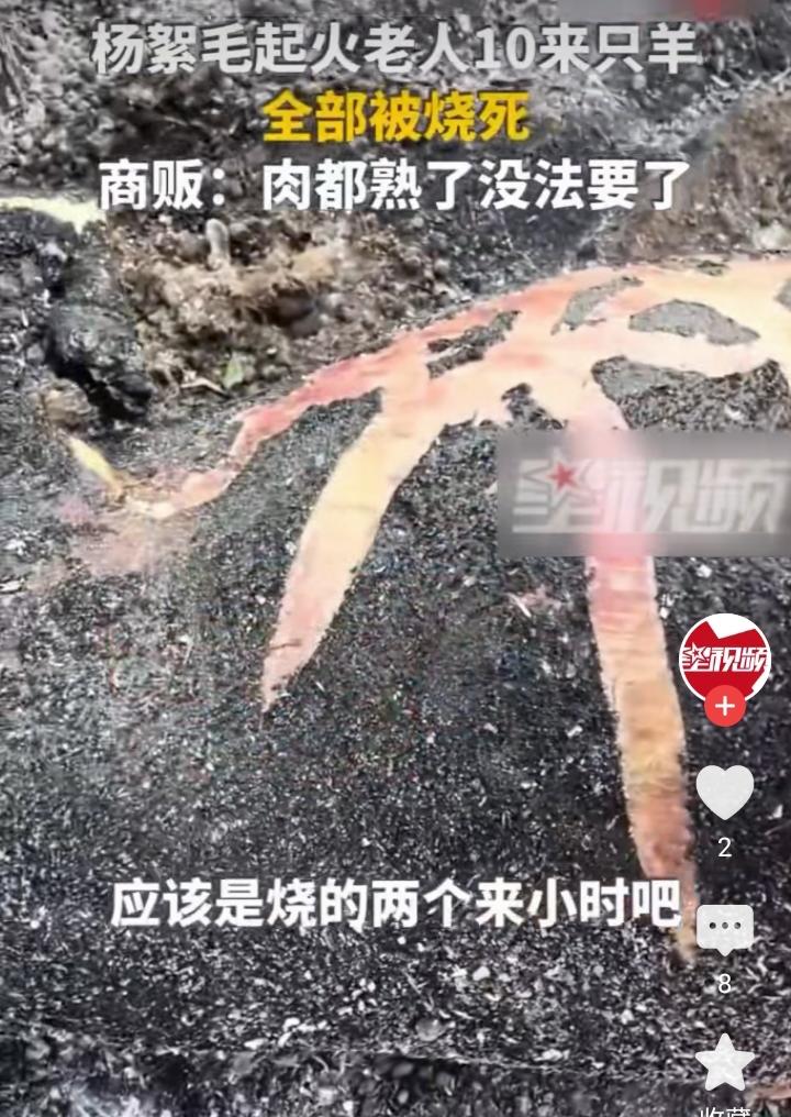 看着真的太揪心了！谁能想到，漫天飞舞的杨絮，不仅让人过敏心烦，还能酿成如此惨痛的