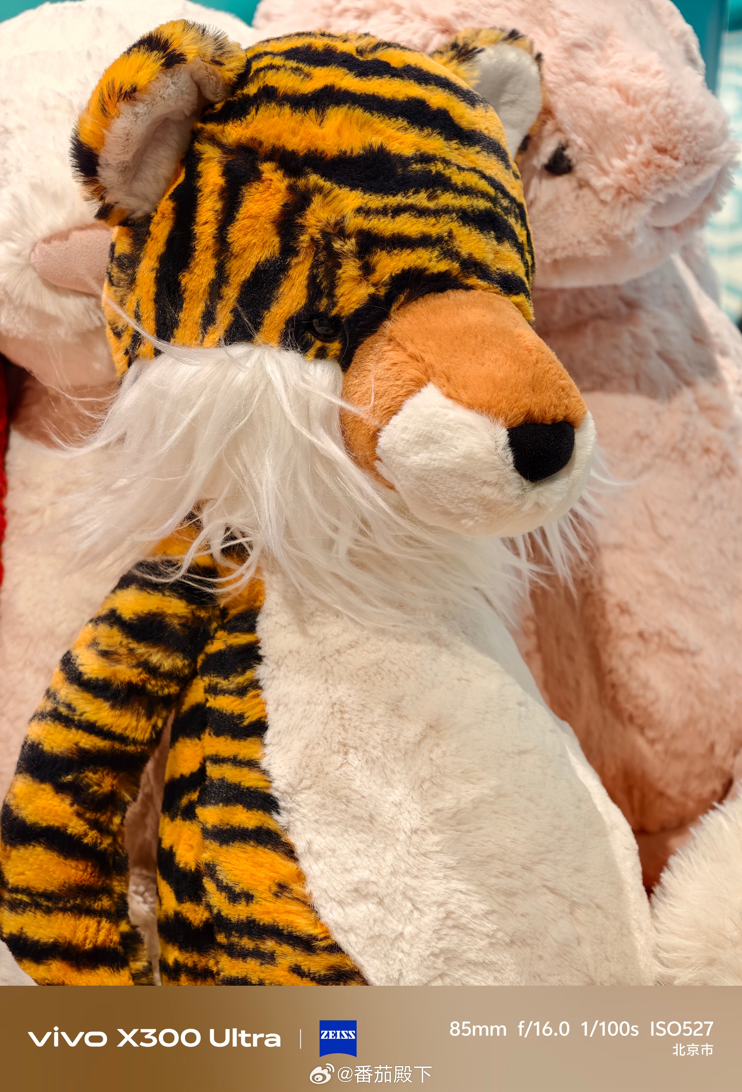 超大杯怎么能没有长焦微距呢？vivo线下门店应该放几个玩偶让大家试拍……真挺di