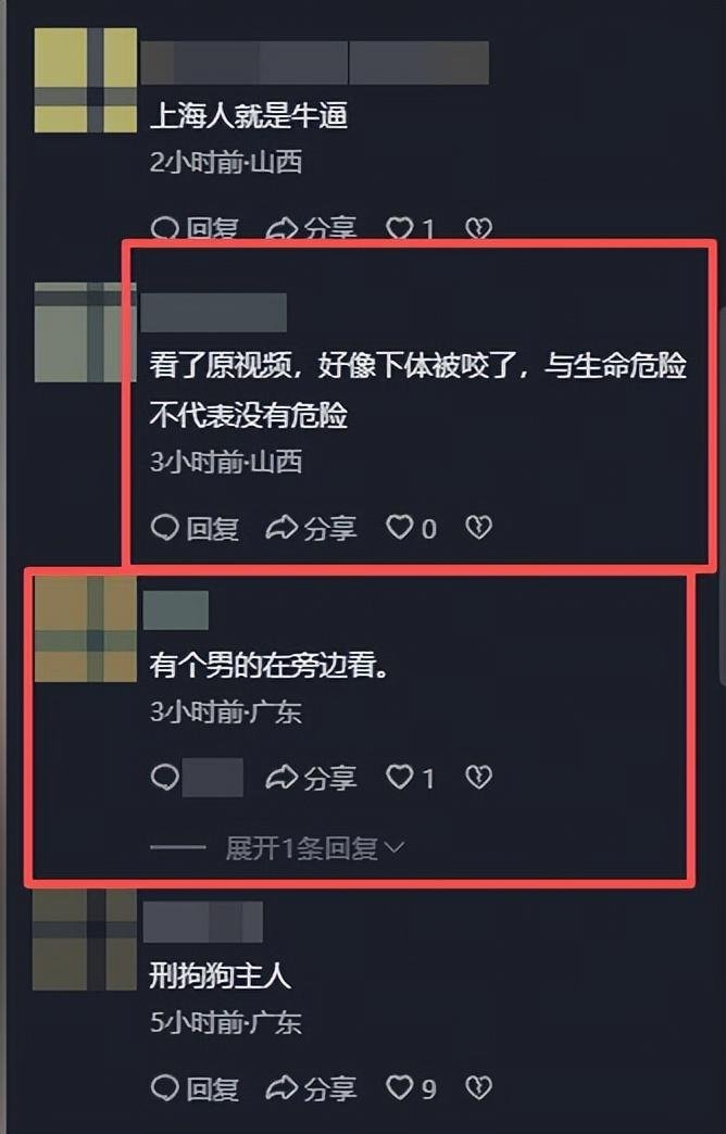 上海幼童被猎犬撕咬后续！现场凄惨，路人见死不救，狗主人被刑拘 