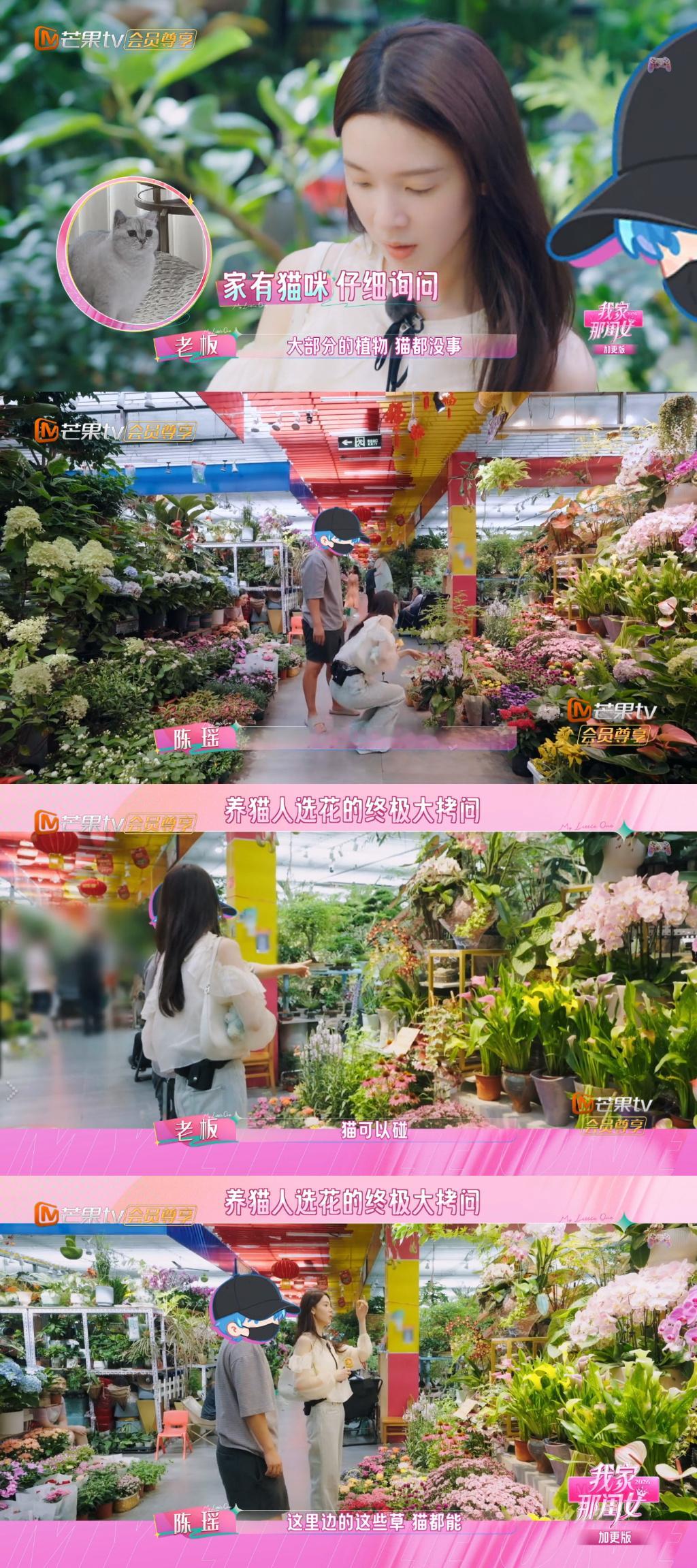 墨我家孩子不爱猫的可以去4了。。。买个花要问八百遍对猫怎么样有没有害[晕]全宇宙