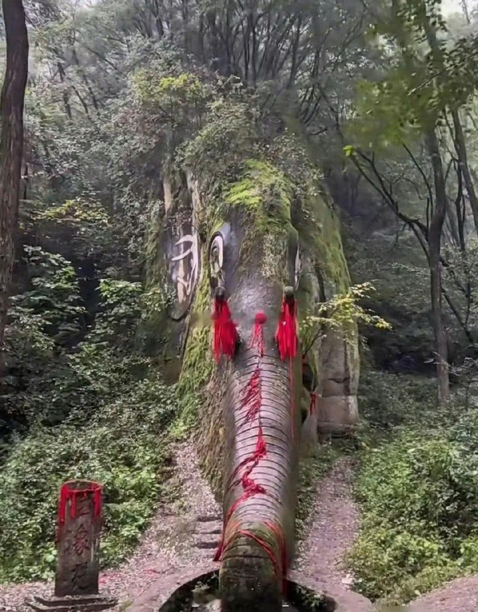 深山里的出现的“大象”，我奶奶说这是几千年前就自然形成的！看着确实有点恐惧感！ 