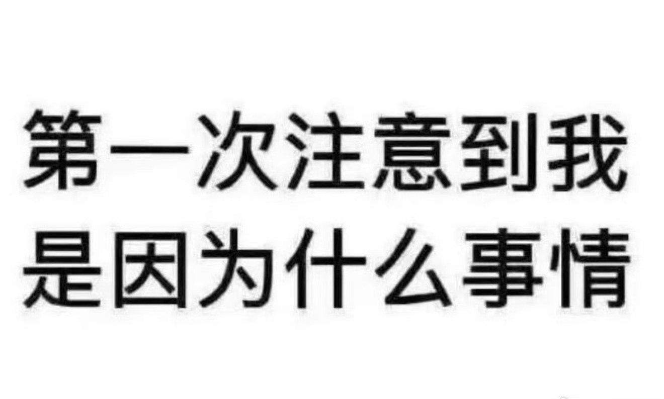 布布也来玩玩 