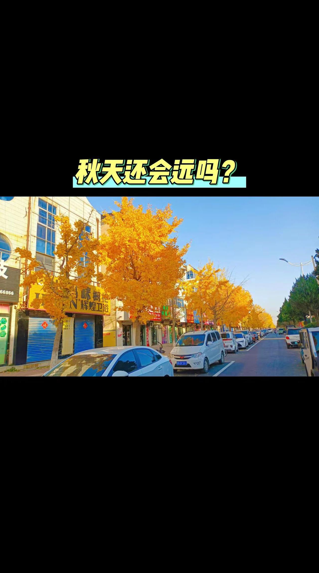 秋天还会远吗？