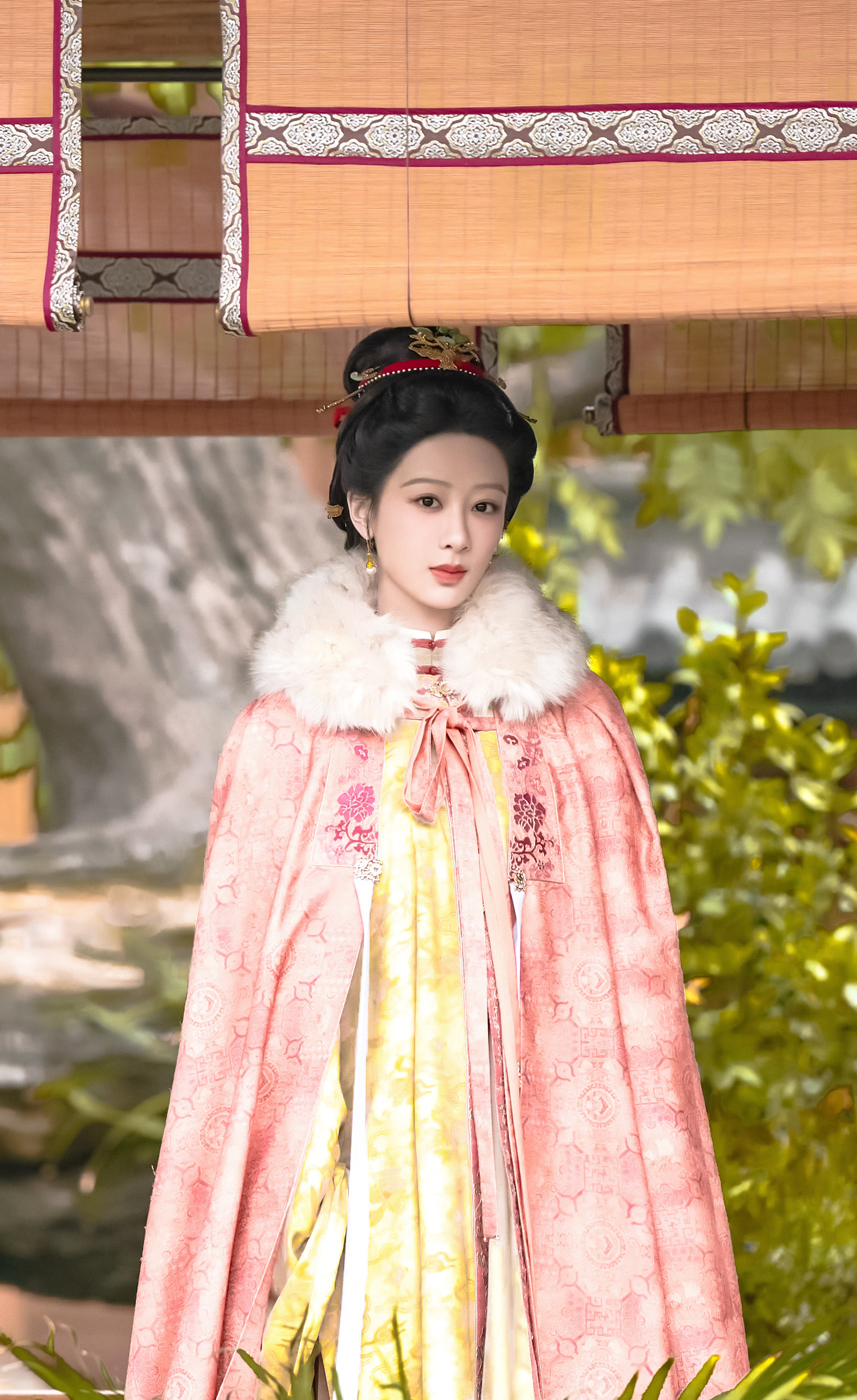 杨紫 yz杨紫董竹君yz杨紫玉兰花开君再来可惜我潦草的文笔表达不出我对你的爱【杨