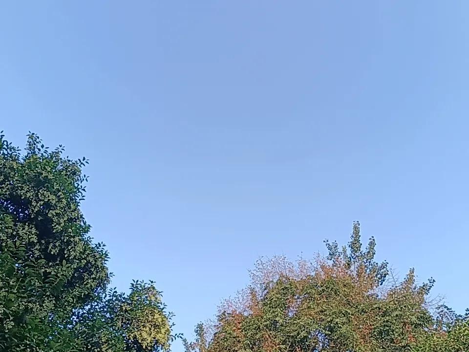 上市29年终退市，天茂集团今日退场。
9月28日，天茂集团发布公告，宣布正式终止