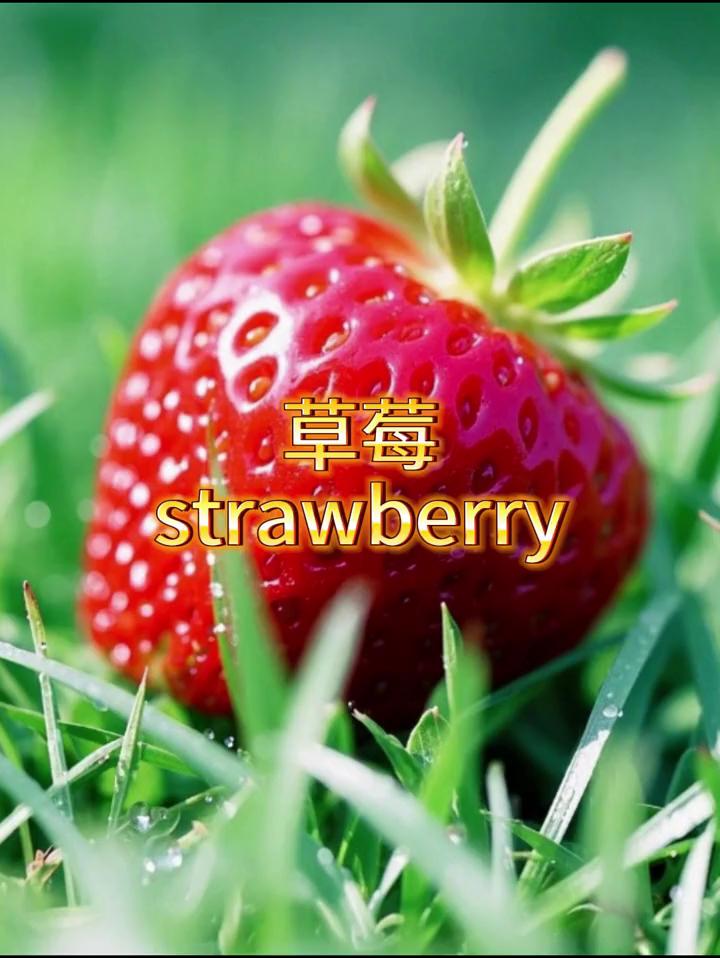 草莓。
strawberry。