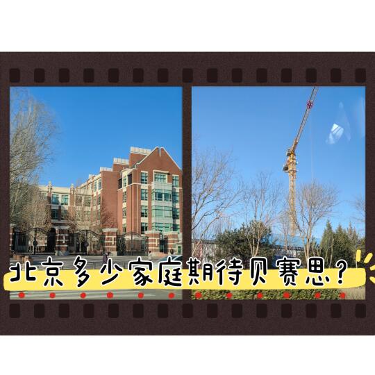 左有国际部，右有鼎石，贝赛思立得住吗？