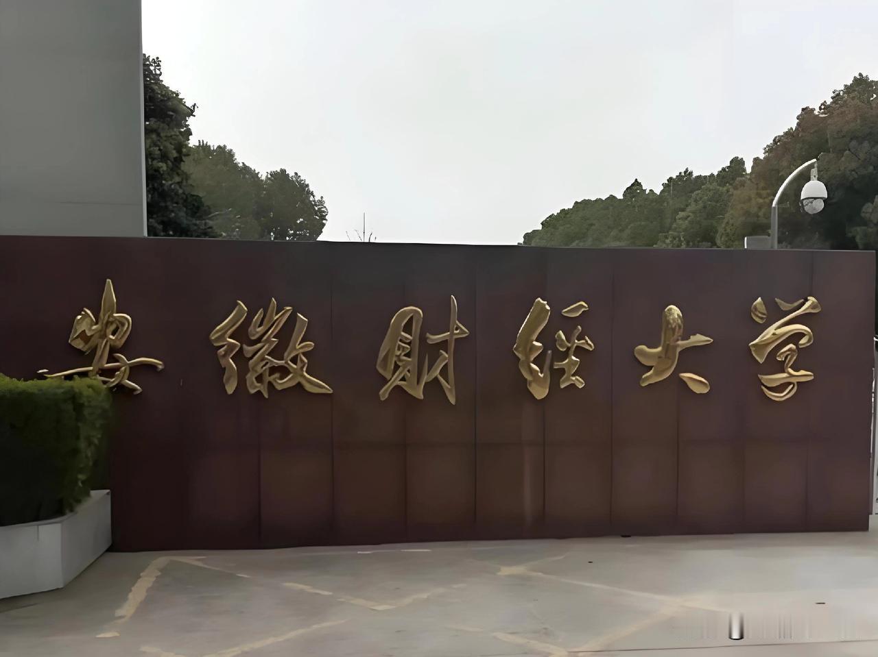 安徽财大火了：火的是他们对学术的严谨，对论文造假者处理毫不含糊！

近日，安徽财