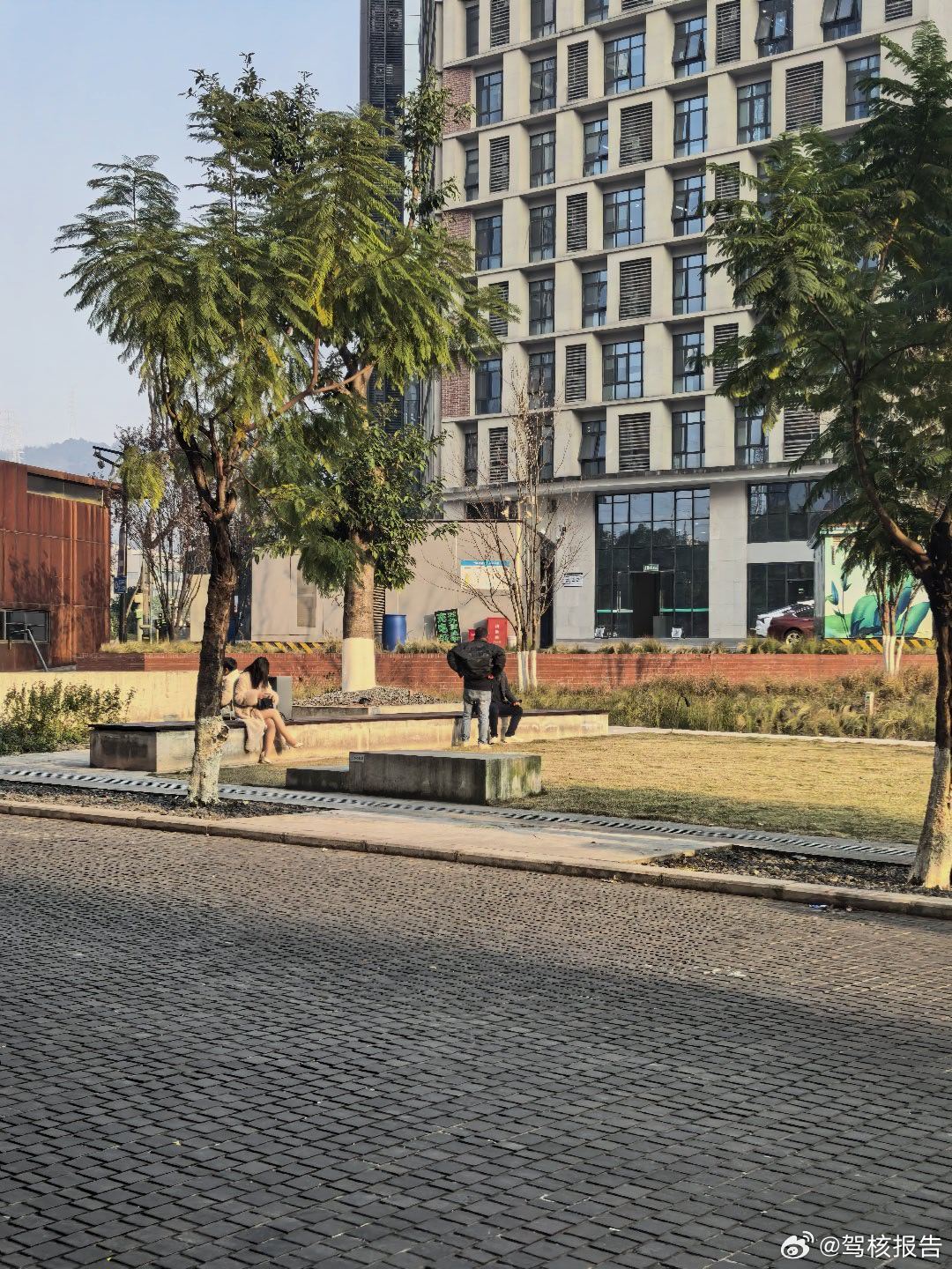 今天阳光甚好，黄中带白 