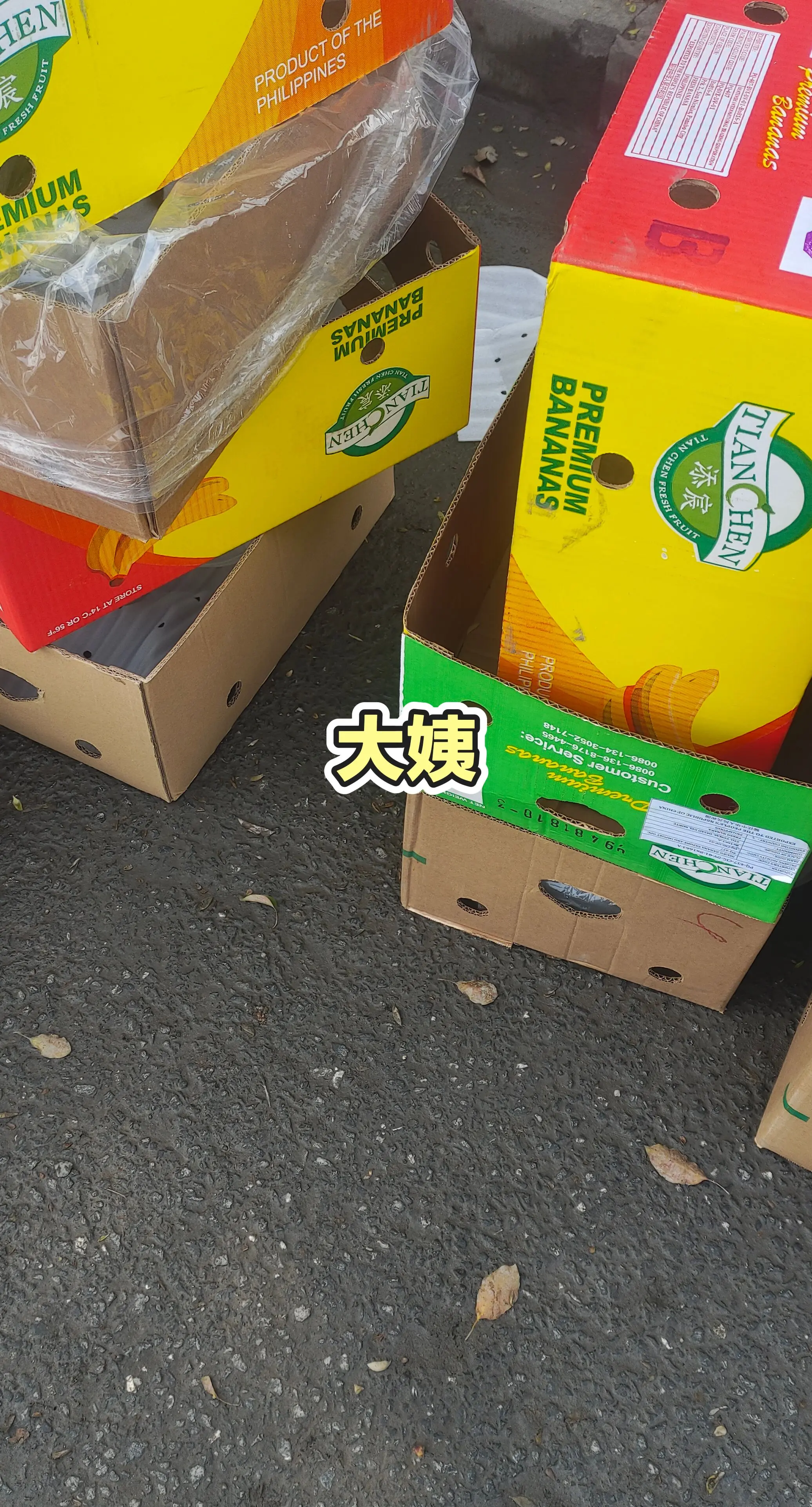 每日分享