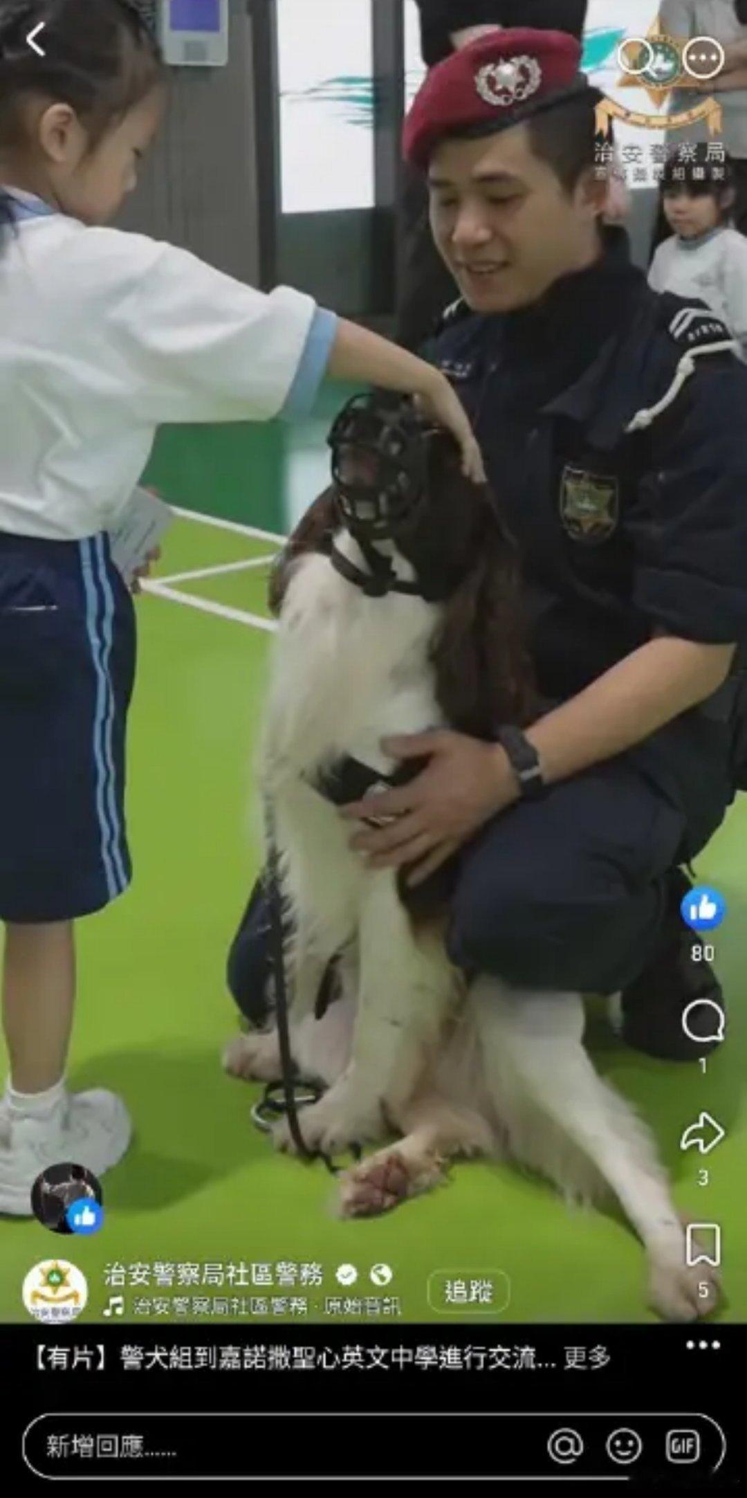 -澳门治安警察局社区警务带警犬到学校和小朋友们进行交流！！ 