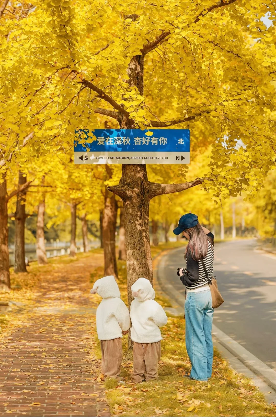 成都拍照🍂｜地铁直达的绝美银杏长廊~