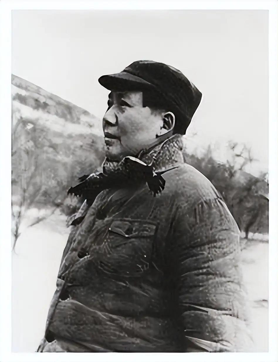 贺子珍曾提及，遵义会议闭幕后，41岁的毛主席仿佛换了一个人，变得沉着稳重、思虑周