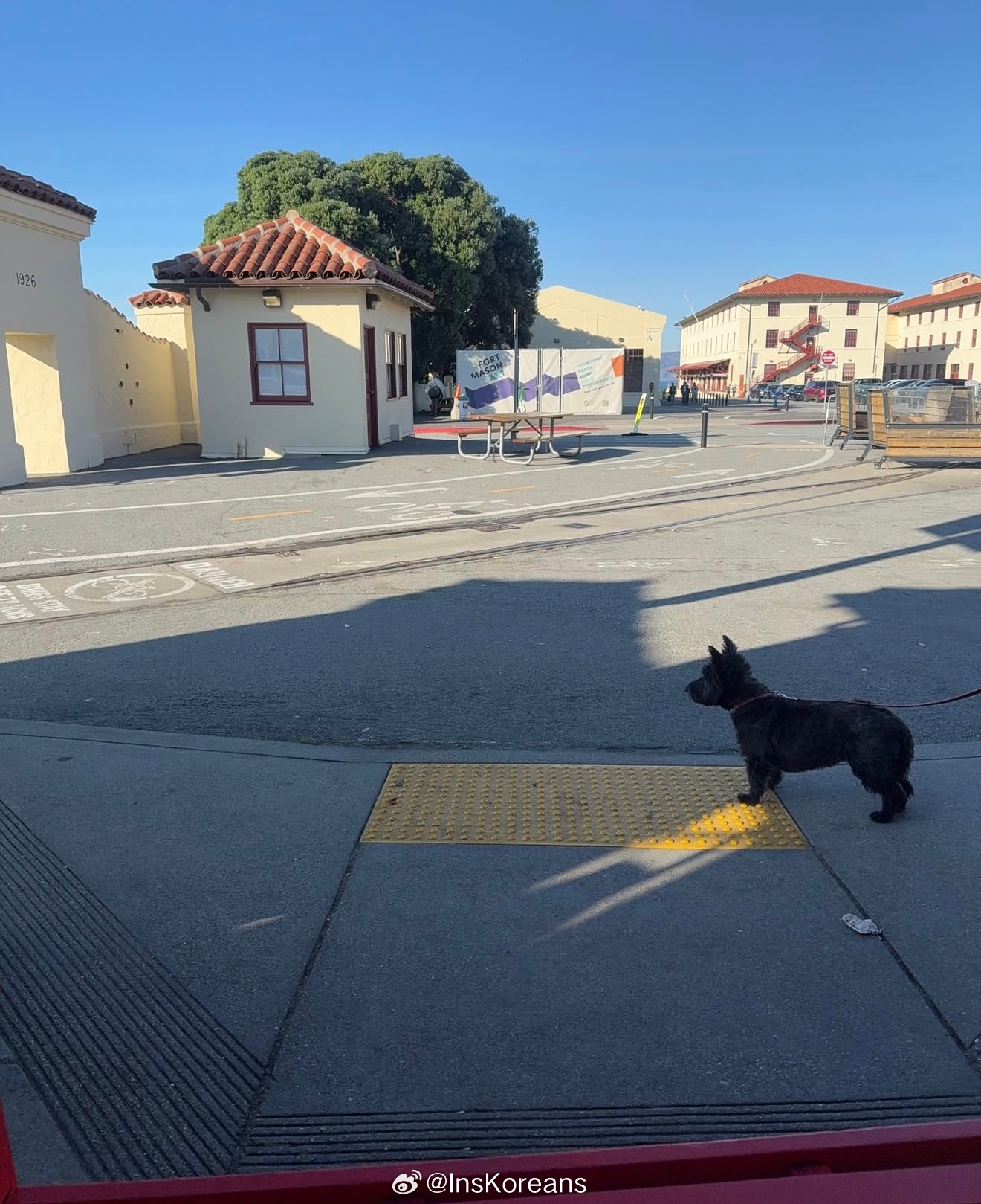 郑秀晶 郑秀晶分享假日日常 