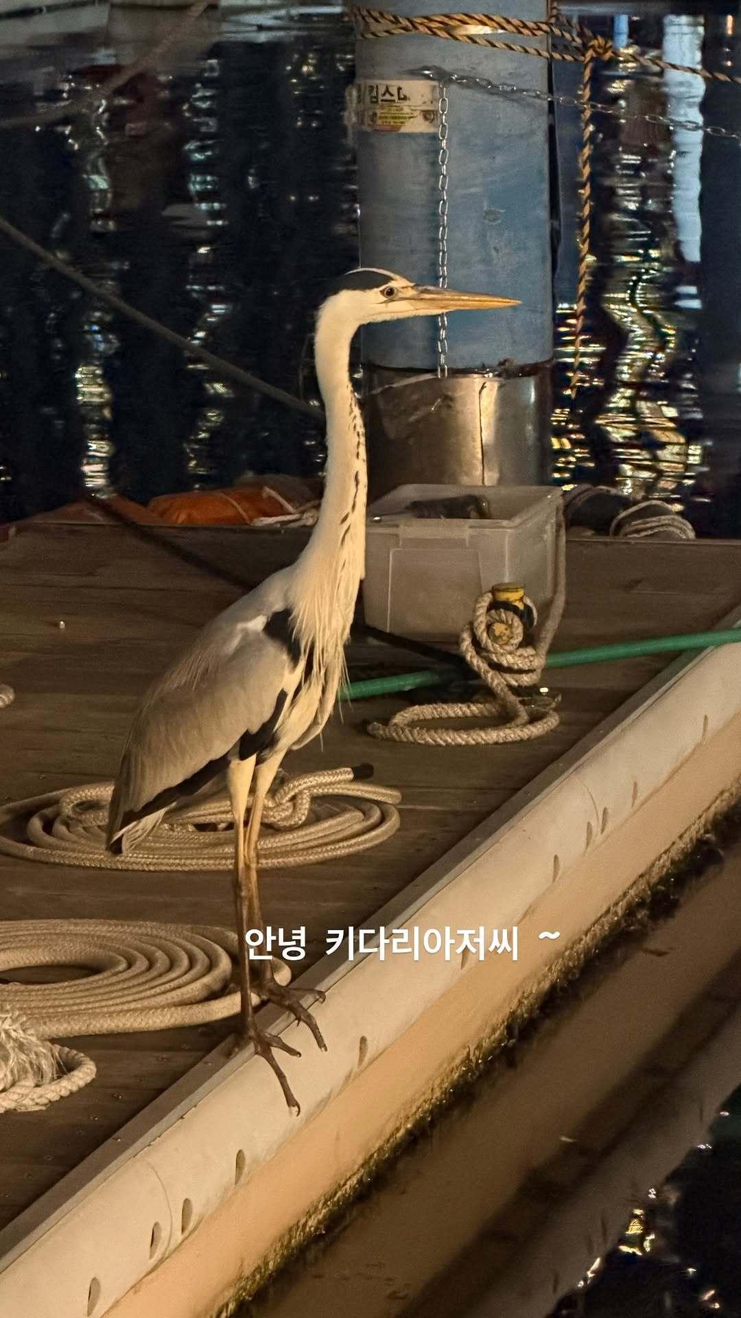 “CB百蓝_。260520金钟云 ins story更新：你好 高个子叔叔~ 