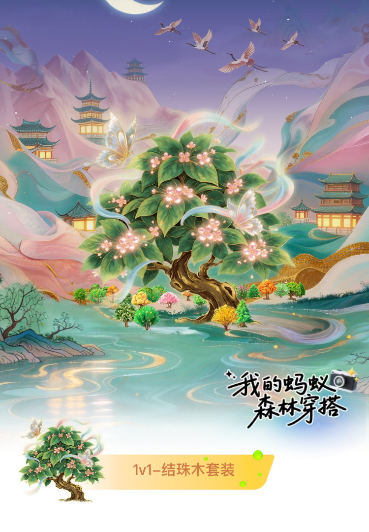 分享图片 