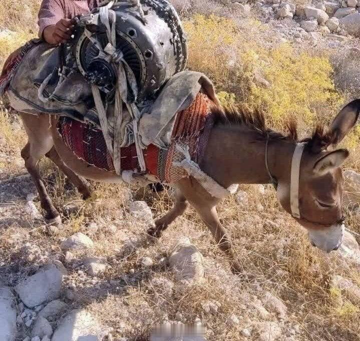 哈哈哈，果然是：一群卢尔人用驴子驮着美军MQ-9无人机的残骸翻山越岭，只为能对其