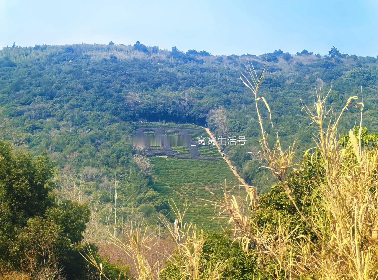 新的一年爬山计划，从旺山开始吧⛰️一年一年又一年 ​​​