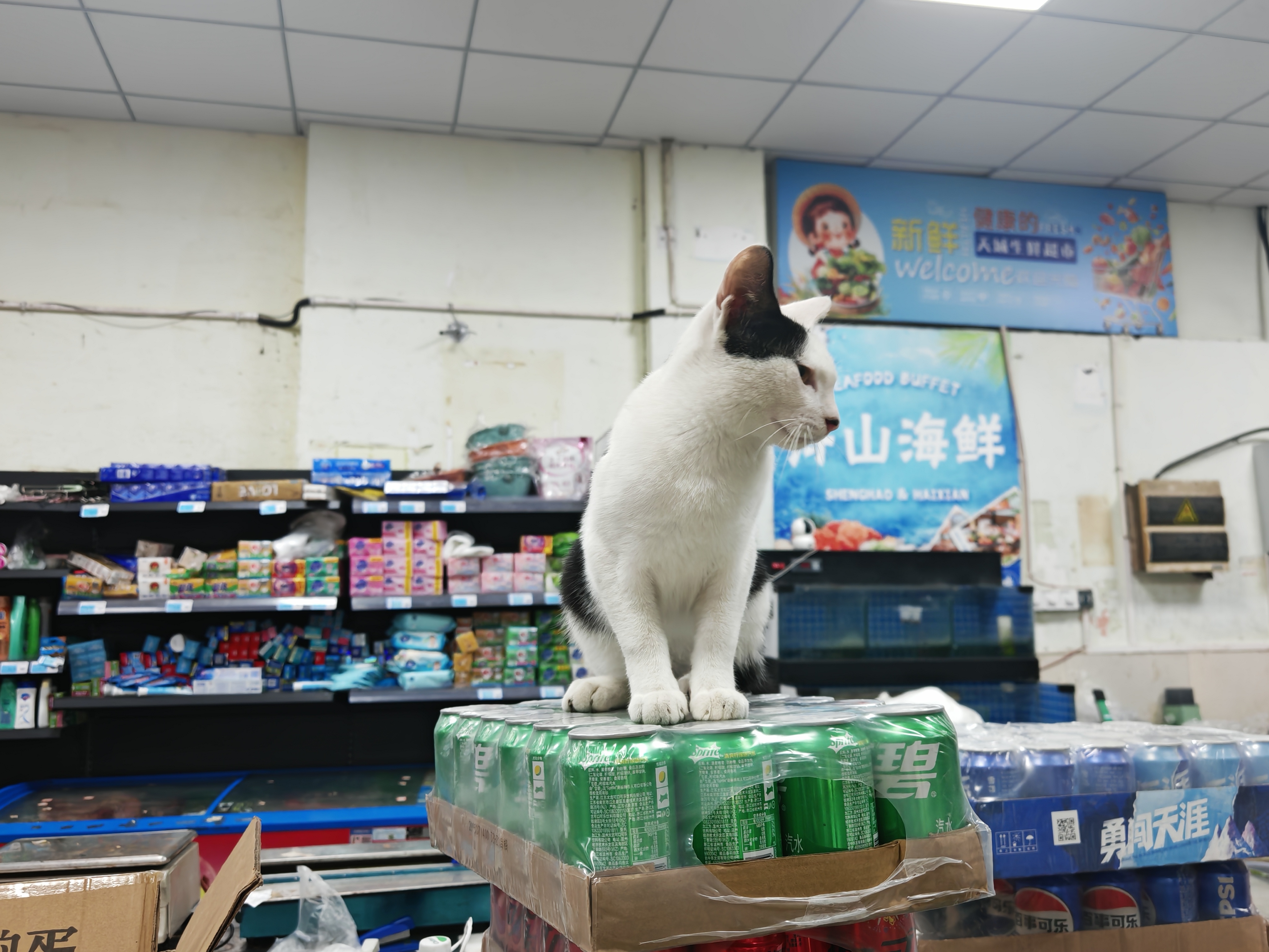 真的建议朋友圈一定要趁早发拖着不发会丧失想发的心情或者过期了 ​​​