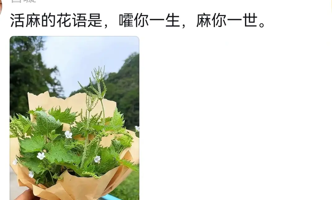 心里住着一个人，不是不爱，而是深爱，不是不联系，而是不能联系，不是不想...