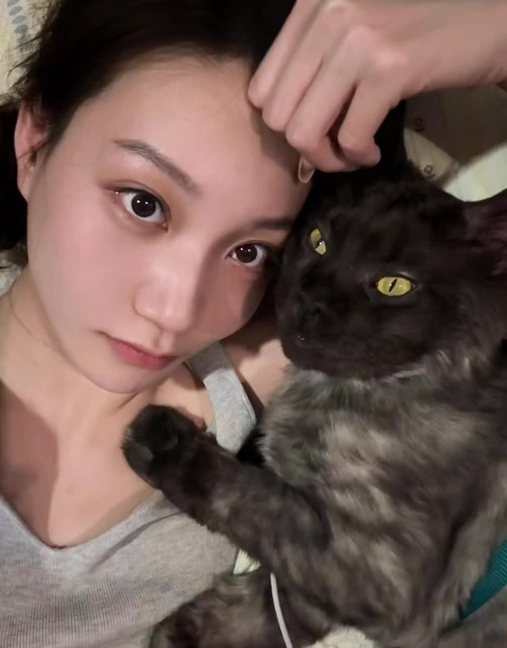 🐈‍⬛